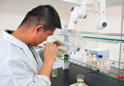 东升国际官网-相信品牌力量